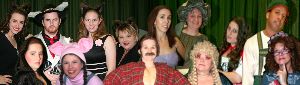 Big Bad Musical cast
                  composit photos